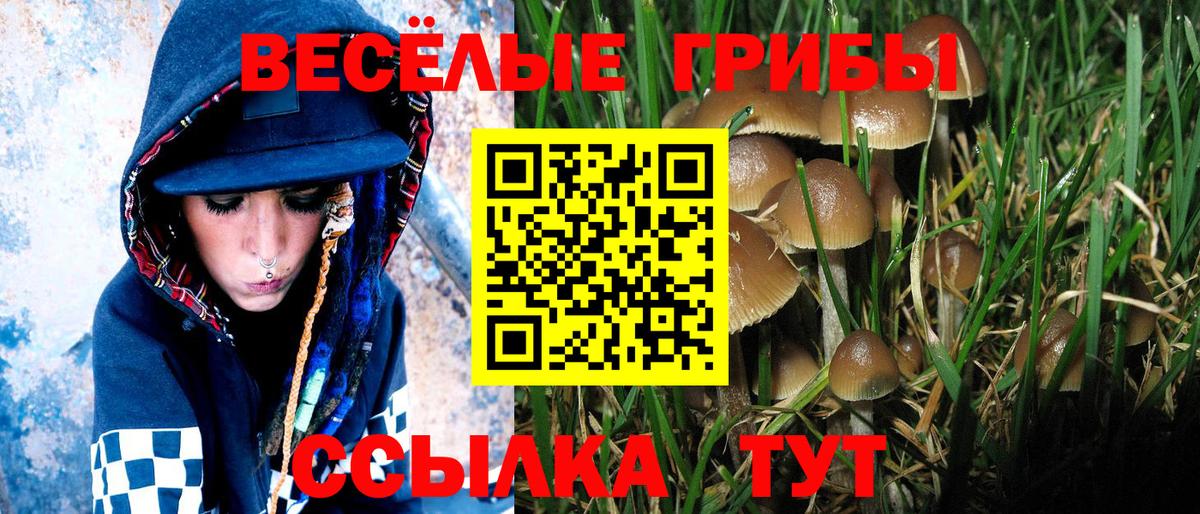 Псилоцибиновые грибы Cubensis Наро-Фоминск