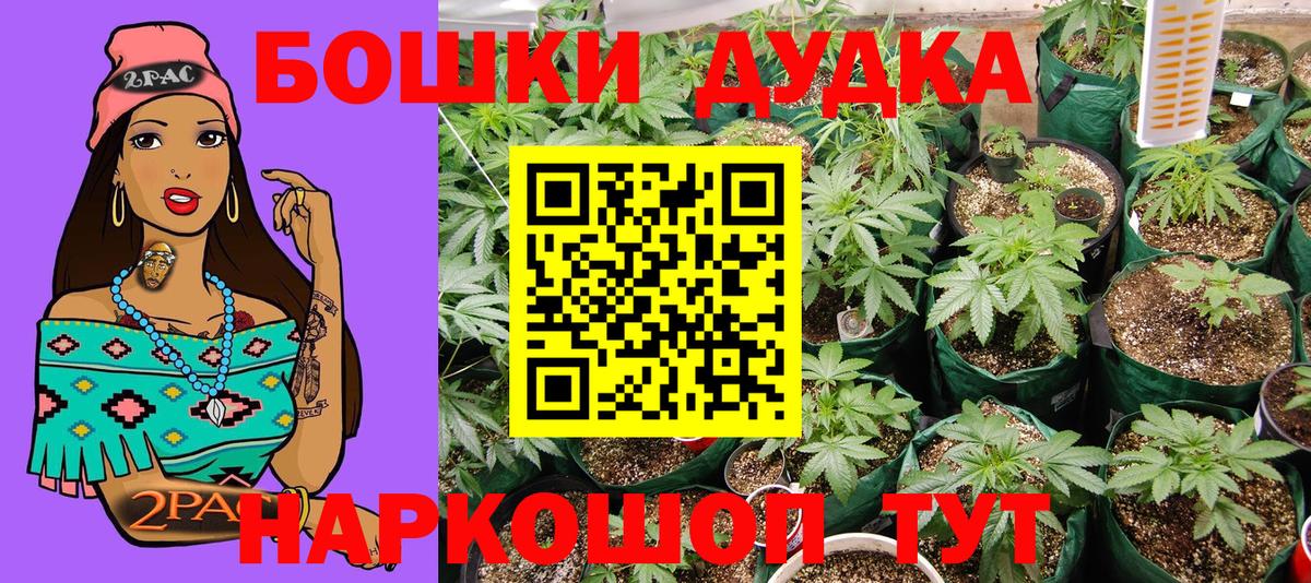 Конопля Amnesia Наро-Фоминск